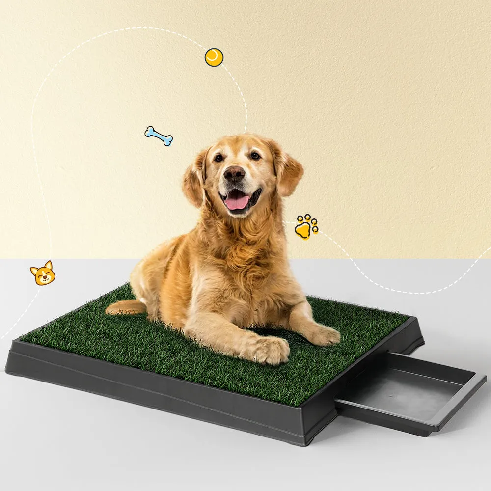 Large Odorless Dog Potty Training Pad with Tray, 2 Mats i.Pet