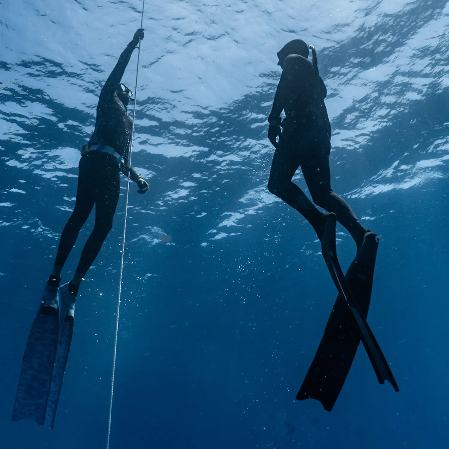 PADI FREEDIVER COURSE