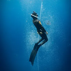 PADI FREEDIVER COURSE