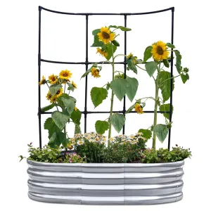 Raised Garden Bed with Wall Trellis