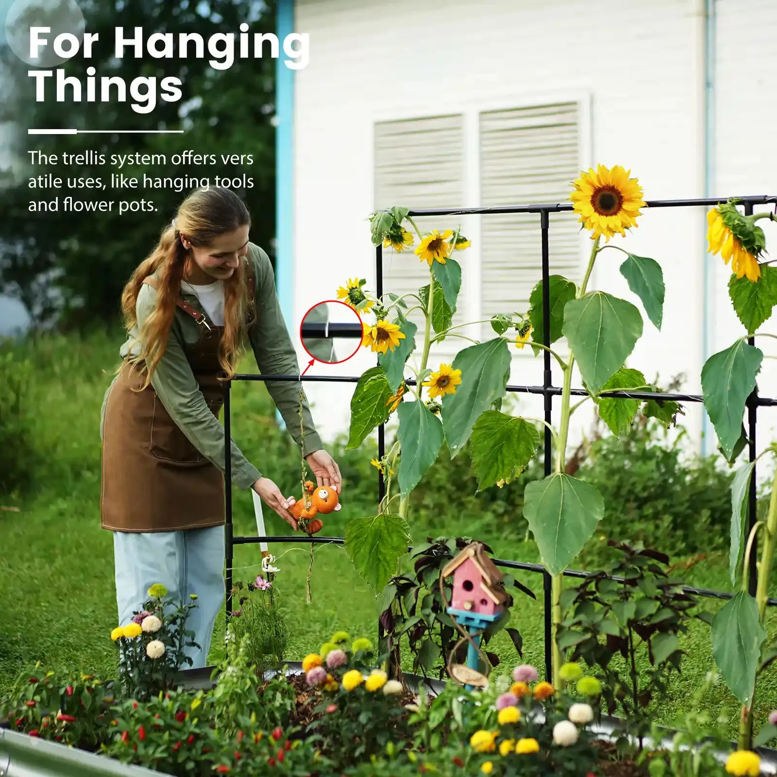 Raised Garden Bed with Wall Trellis