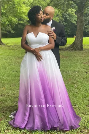 Strapless Organza Plus Size Modern Destination Wedding Dress