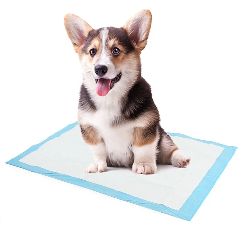 Super Absorbent Pet Diaper Dog Training Pee Pads Disposable Urine Nappy Mat For Cats Dog Diapers Cage Mat Pet Supplies